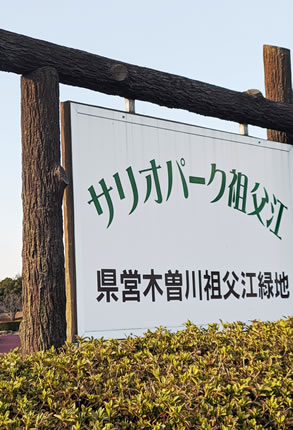 プレースホルダ